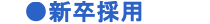 新卒採用